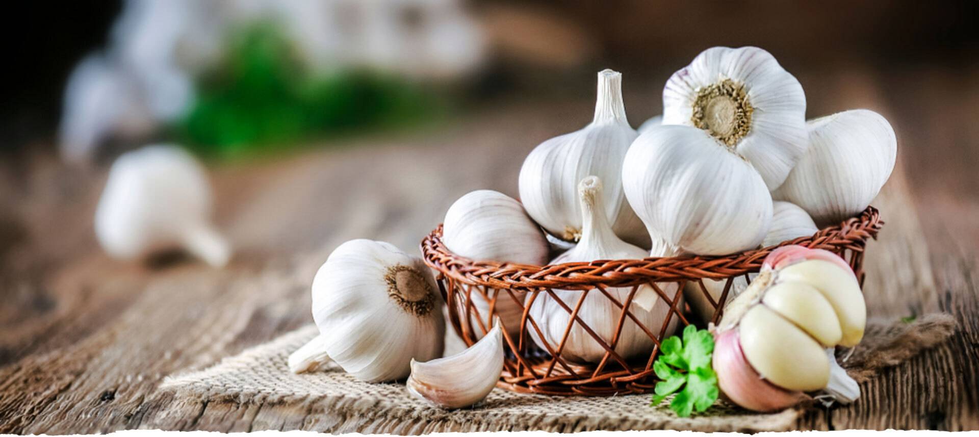 fresh garlic scapes